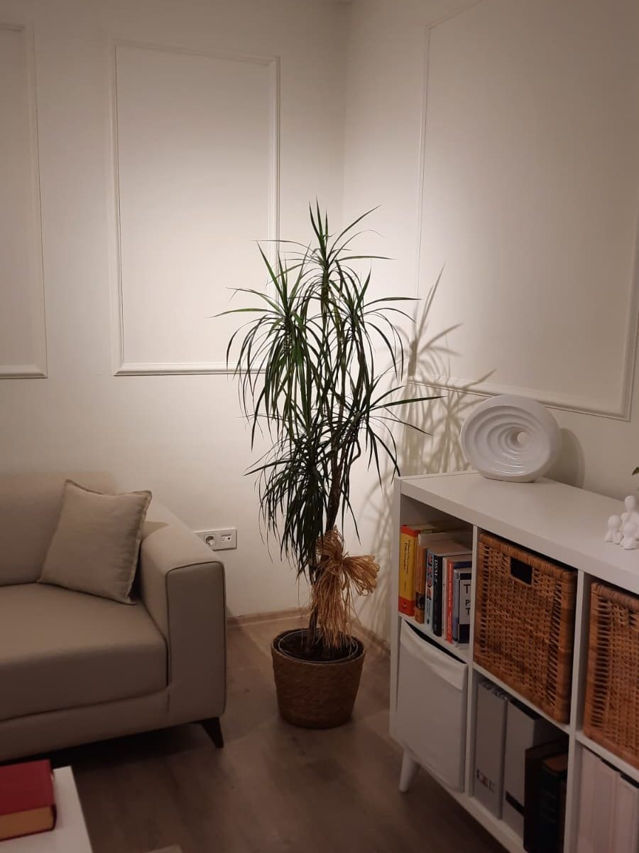 Sakarya Randevu Psikolojik danışmanlık hizmeti ofis